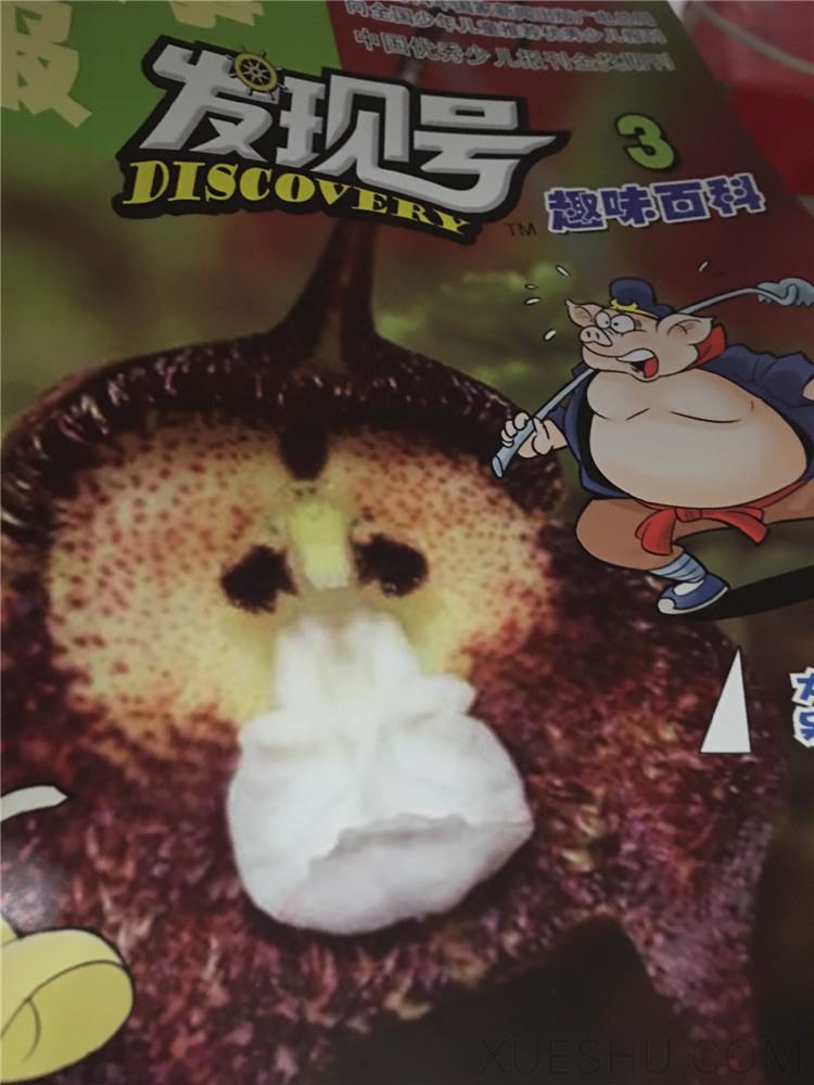 發(fā)現(xiàn)號