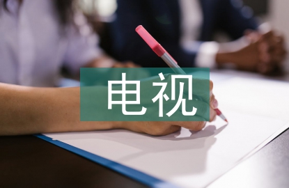 電視新聞頻道論文