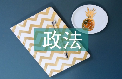 政法條例督察報(bào)告