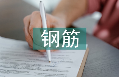 鋼筋調(diào)查報(bào)告