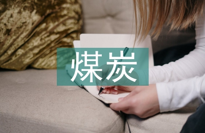 煤炭銷售工作計(jì)劃