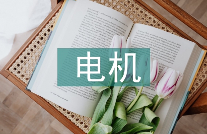 電機(jī)設(shè)計(jì)論文