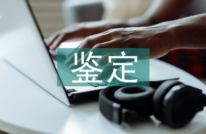 大二學(xué)年鑒定個人總結(jié)