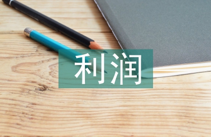 收入費(fèi)用利潤實(shí)訓(xùn)總結(jié)