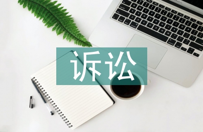 訴訟理論論文