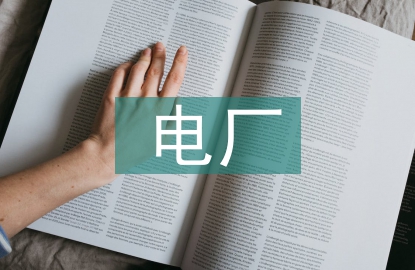 電廠建設(shè)項目采購管理及控制