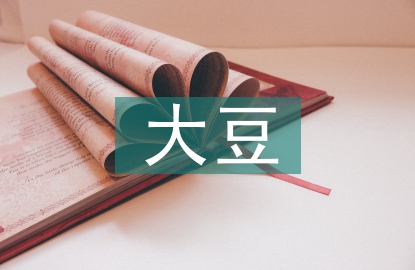 大豆?fàn)I銷論文