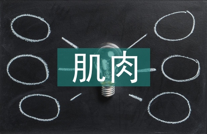肌肉康復(fù)訓(xùn)練