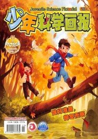 少年科學(xué)畫(huà)報(bào)雜志