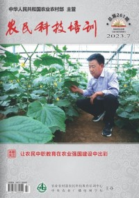 培訓(xùn)雜志