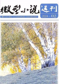 微型小說(shuō)選刊雜志