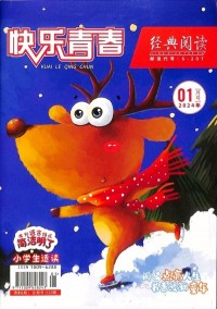 快樂(lè)青春雜志