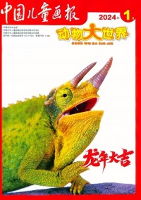 中國(guó)兒童畫報(bào)雜志