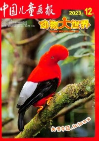 動(dòng)物大世界雜志