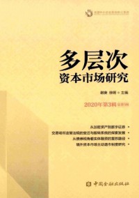 多層次資本市場(chǎng)研究