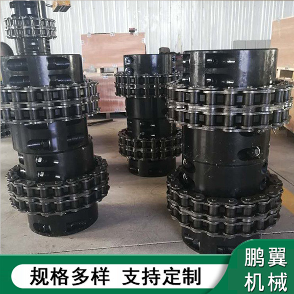  福建加緊式鏈條聯(lián)軸器